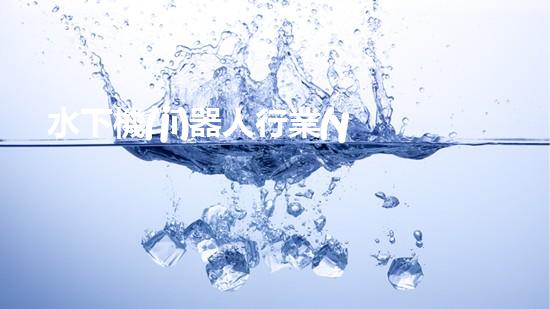 水下機(jī)器人行業(yè)標(biāo)準(zhǔn)：突破技術(shù)邊界，開啟未來之門！
